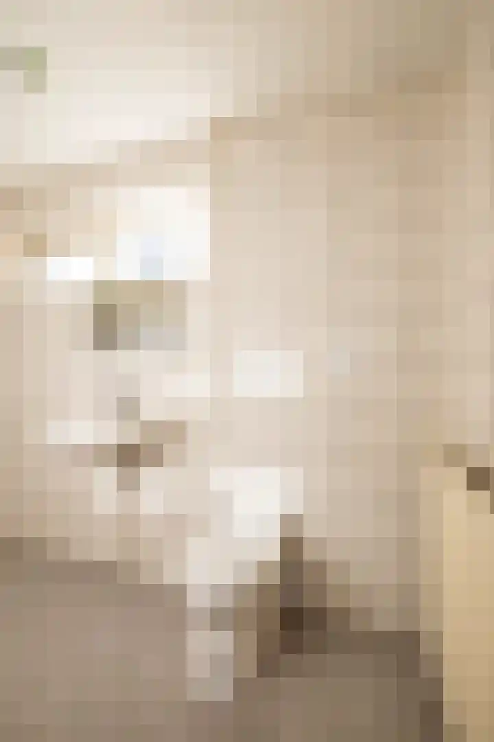 Coendersweg 36 Middelstum thumbnail 40