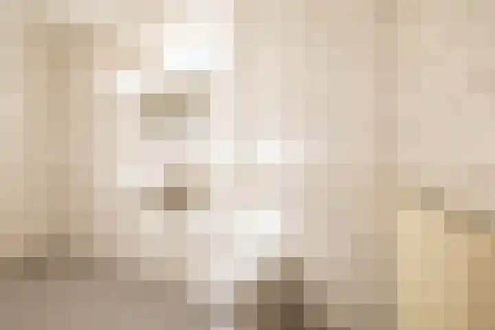 Coendersweg 36 Middelstum thumbnail 41