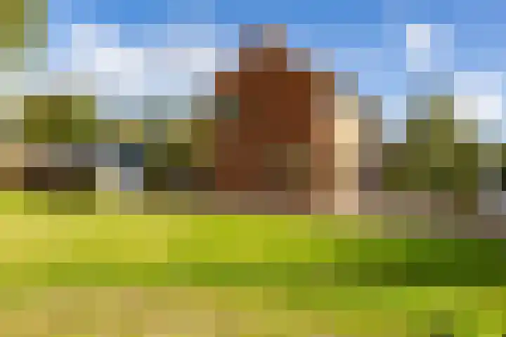 Coendersweg 36 Middelstum thumbnail 5