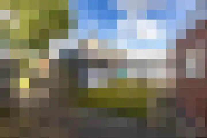 Coendersweg 36 Middelstum thumbnail 6
