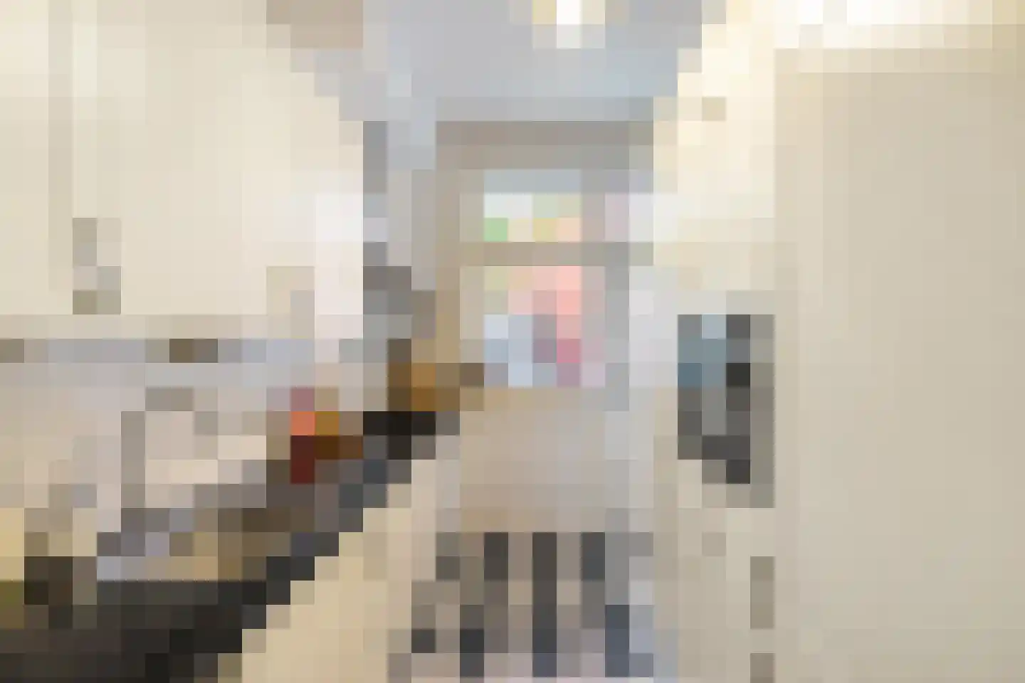 Coendersweg 42 Groningen thumbnail 12