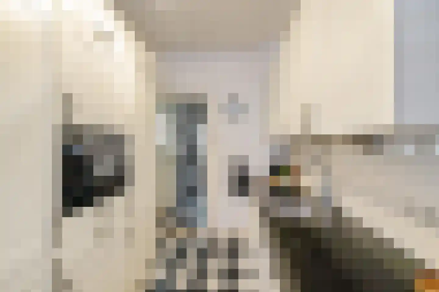 Coendersweg 42 Groningen thumbnail 13