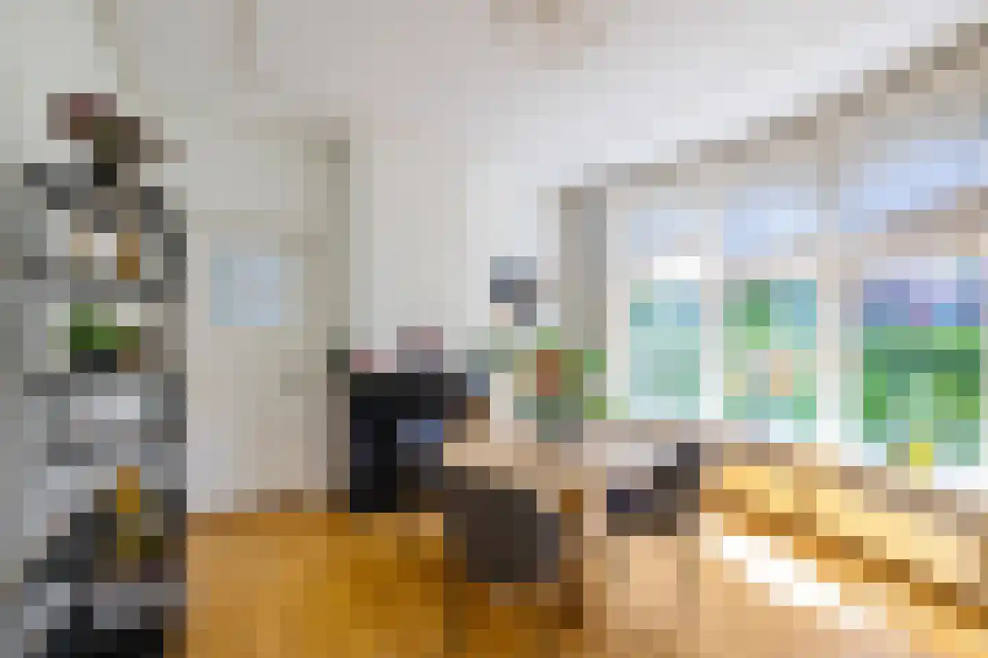 Coendersweg 42 Groningen thumbnail 14