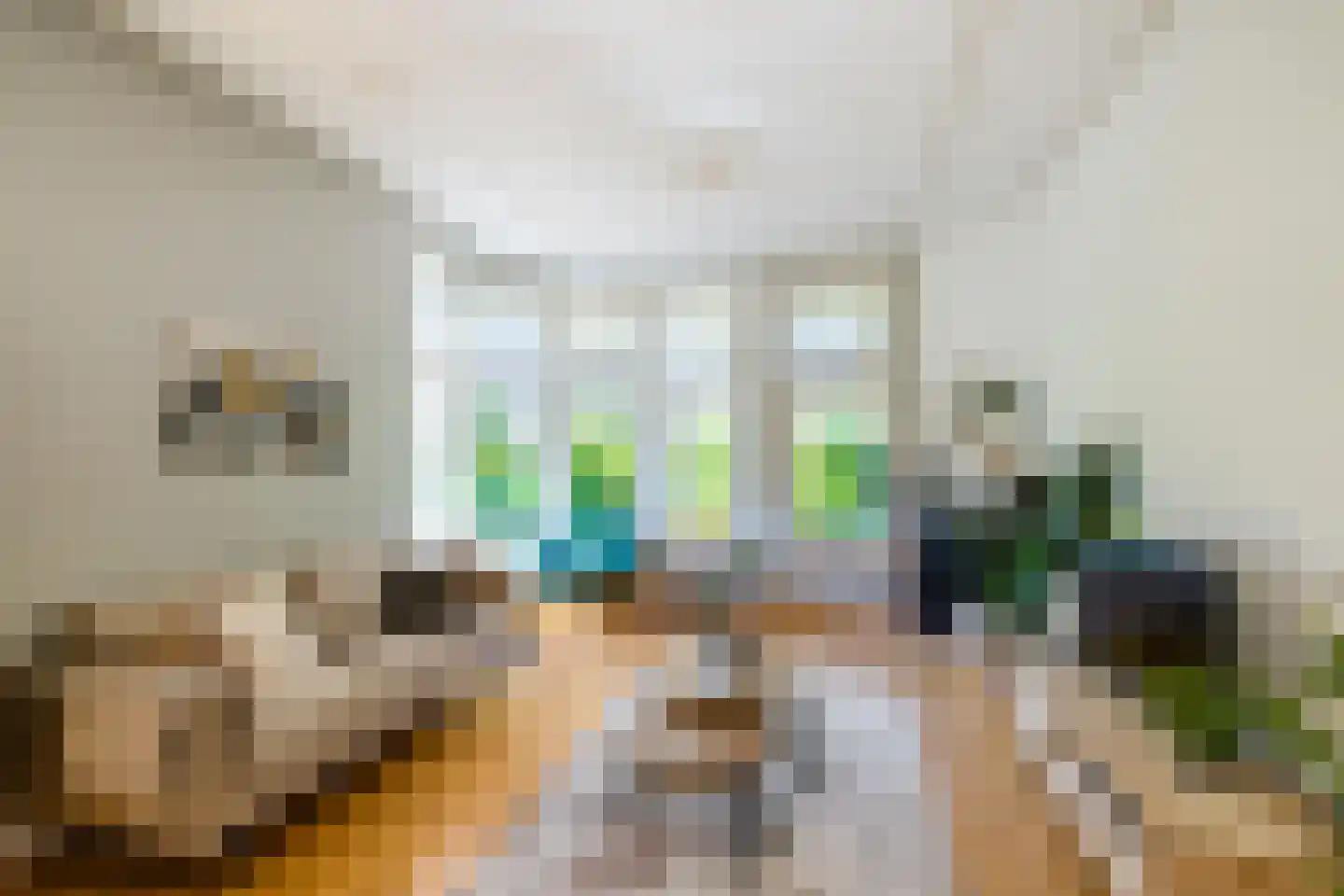 Coendersweg 42 Groningen thumbnail 15
