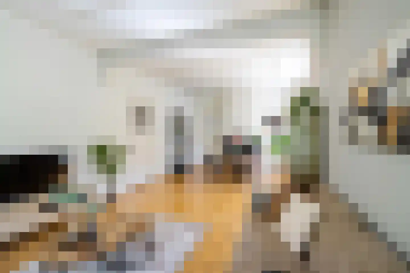 Coendersweg 42 Groningen thumbnail 17