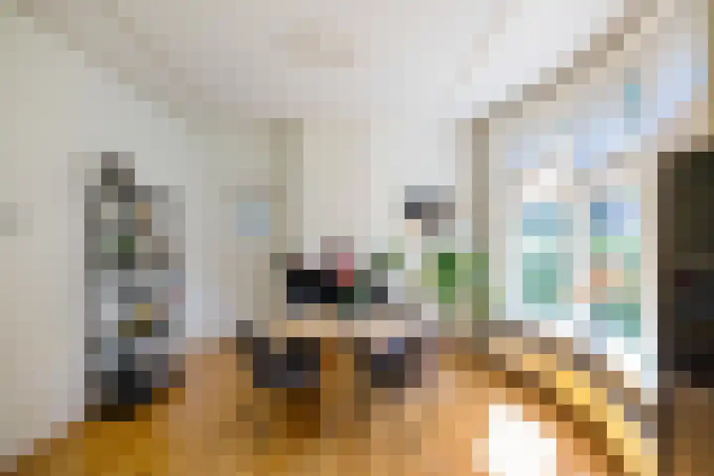 Coendersweg 42 Groningen thumbnail 18