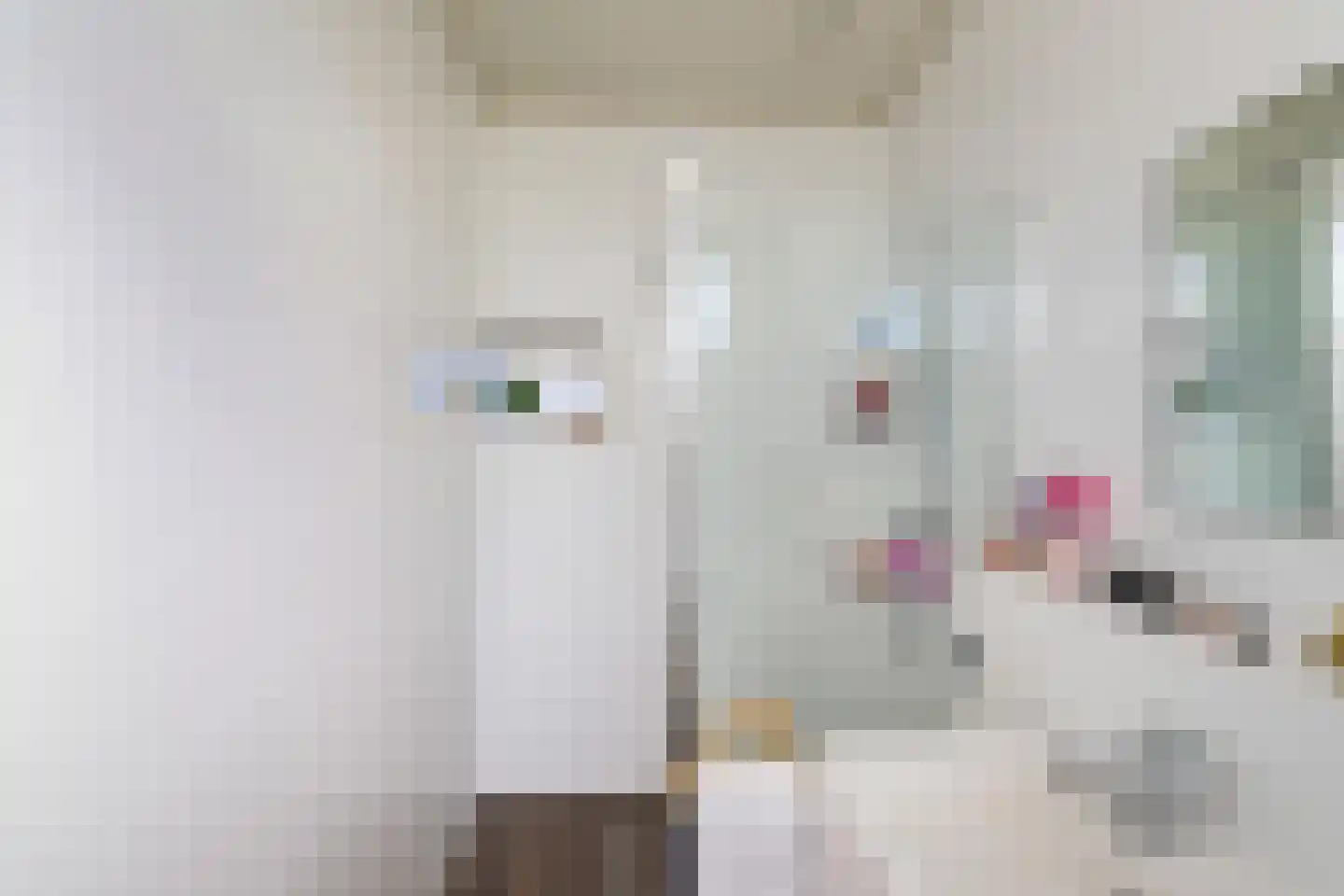 Coendersweg 42 Groningen thumbnail 23
