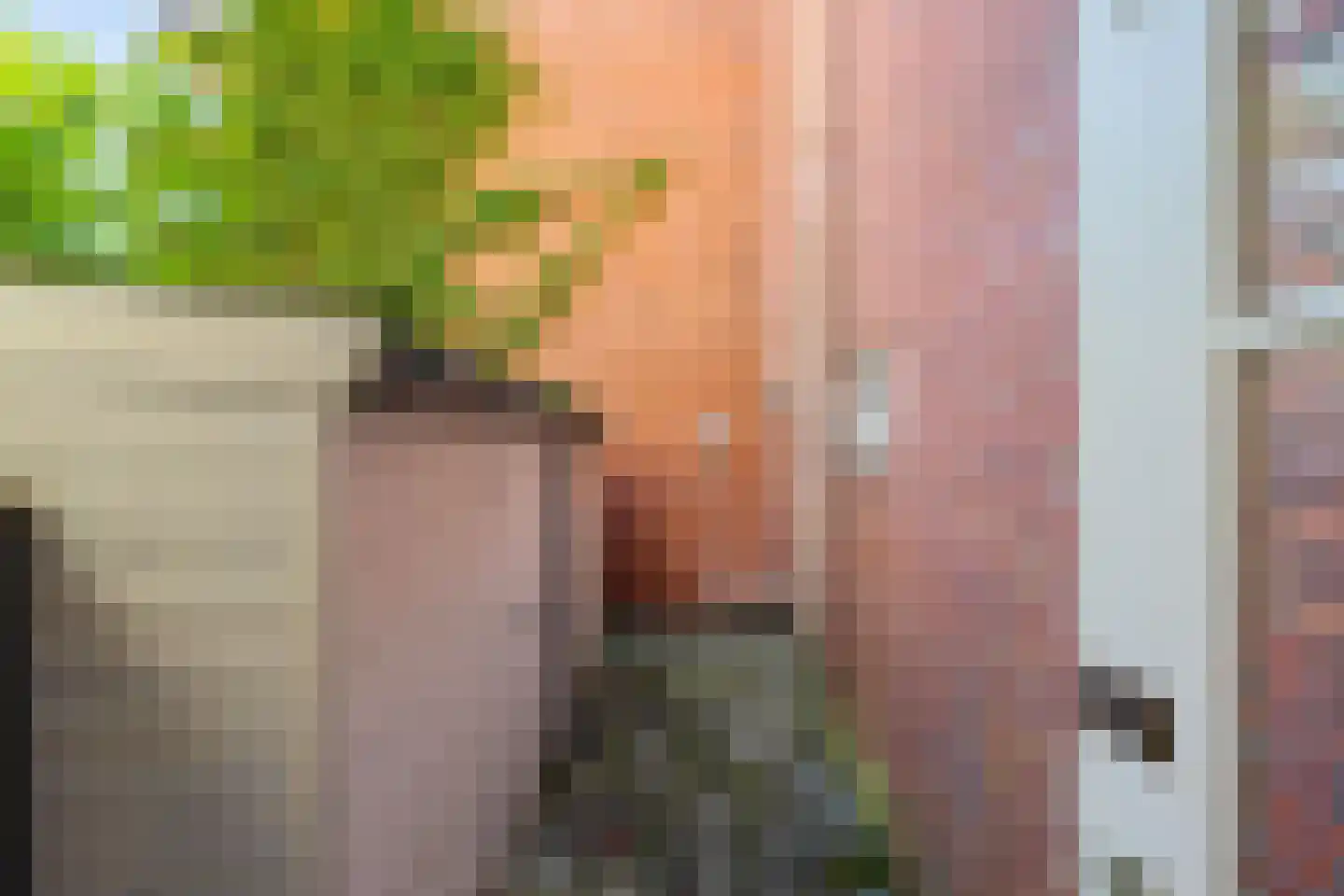 Coendersweg 42 Groningen thumbnail 25