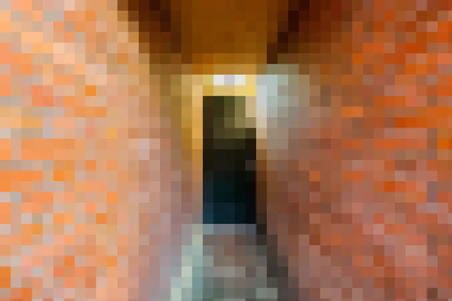 Coendersweg 42 Groningen thumbnail 27