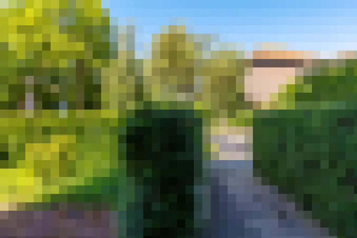 Coendersweg 42 Groningen thumbnail 5