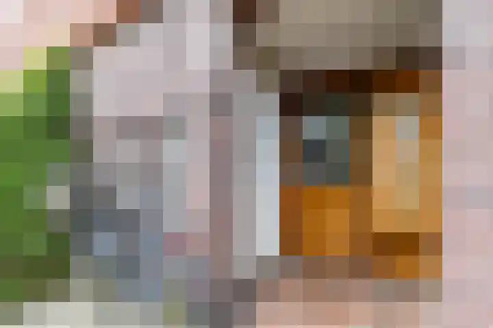 Coendersweg 47 a Groningen thumbnail 10