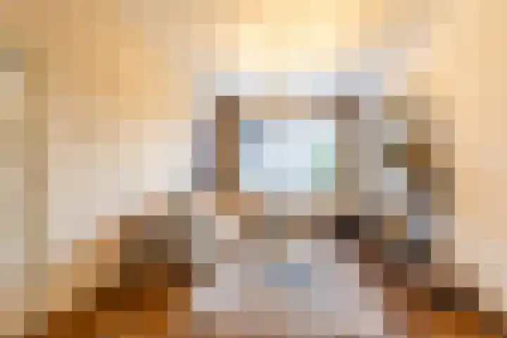 Coendersweg 47 a Groningen thumbnail 15