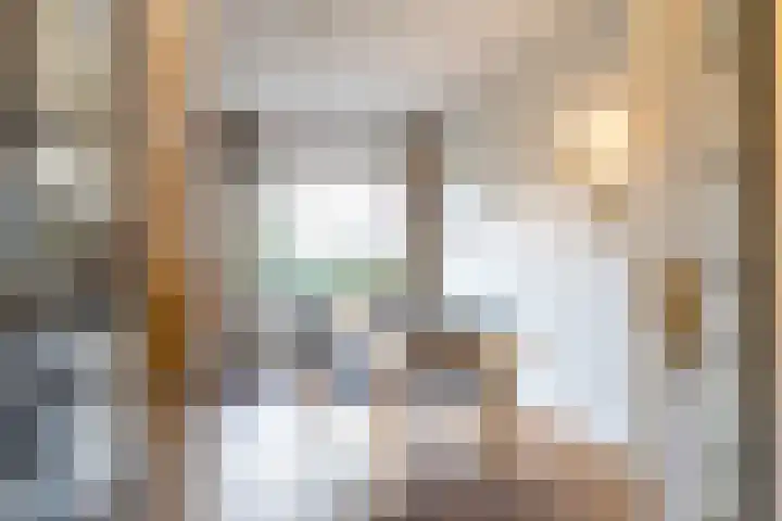 Coendersweg 47 a Groningen thumbnail 18