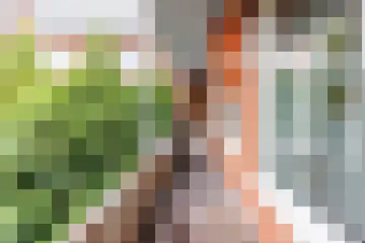 Coendersweg 47 a Groningen thumbnail 23