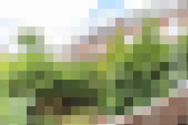 Coendersweg 47 a Groningen thumbnail 24