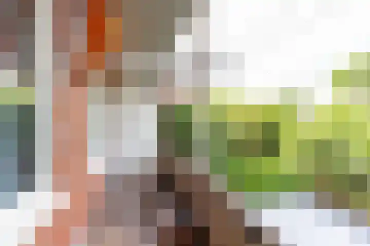 Coendersweg 47 a Groningen thumbnail 25