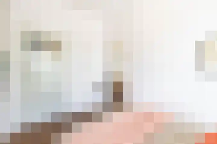 Coendersweg 47 a Groningen thumbnail 28