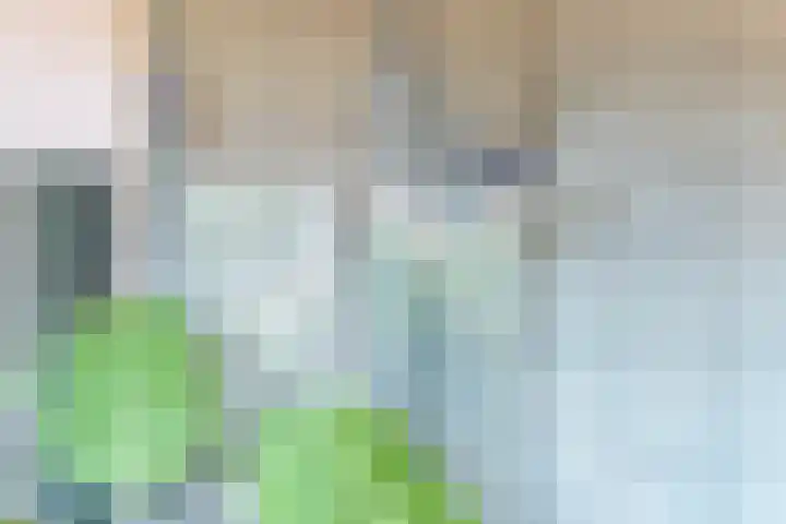 Coendersweg 47 a Groningen thumbnail 33