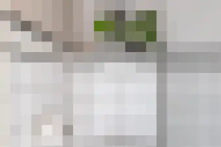 Coendersweg 47 a Groningen thumbnail 35