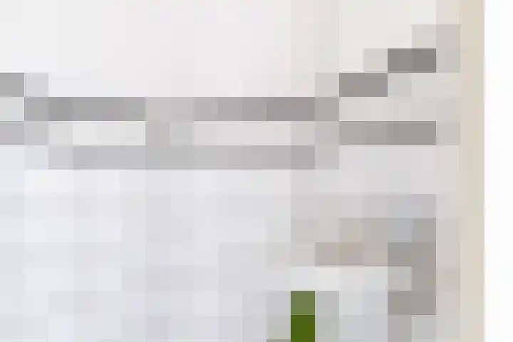 Coendersweg 47 a Groningen thumbnail 36