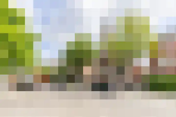 Coendersweg 47 a Groningen thumbnail 6