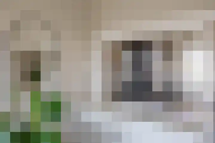 Coendersweg 47 b Groningen thumbnail 13