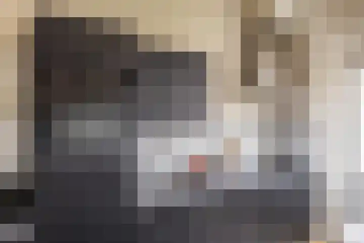 Coendersweg 47 b Groningen thumbnail 14
