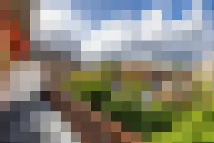 Coendersweg 47 b Groningen thumbnail 18