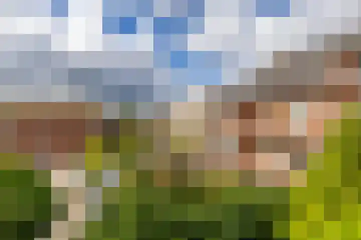 Coendersweg 47 b Groningen thumbnail 19