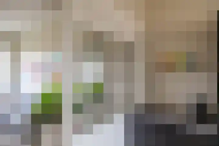 Coendersweg 47 b Groningen thumbnail 20