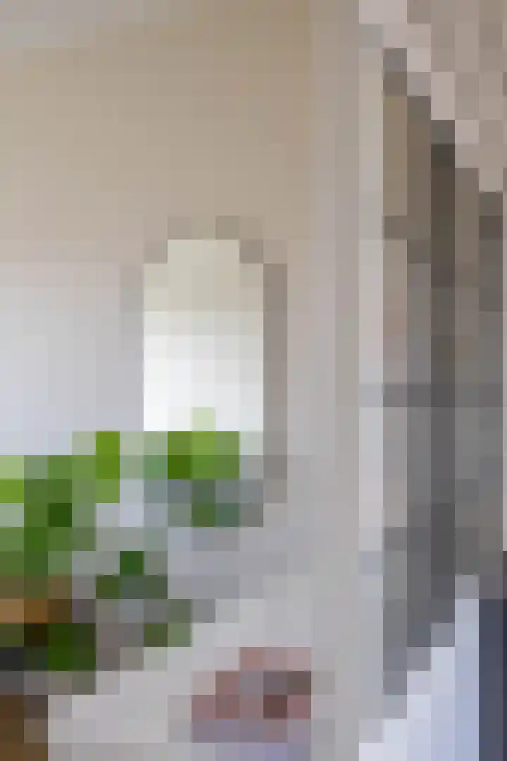 Coendersweg 47 b Groningen thumbnail 22