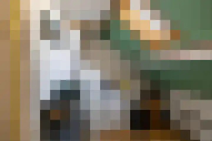 Coendersweg 47 b Groningen thumbnail 31