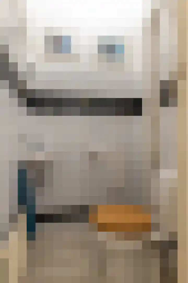 Coendersweg 5 Groningen thumbnail 10