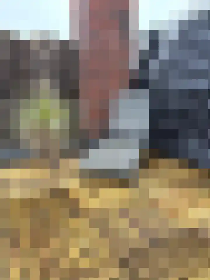 Coendersweg 5 Groningen thumbnail 44