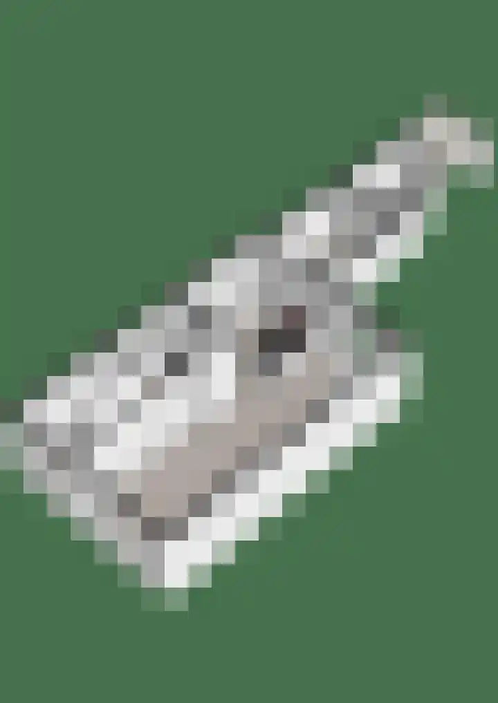 Coendersweg 5 Groningen thumbnail 46