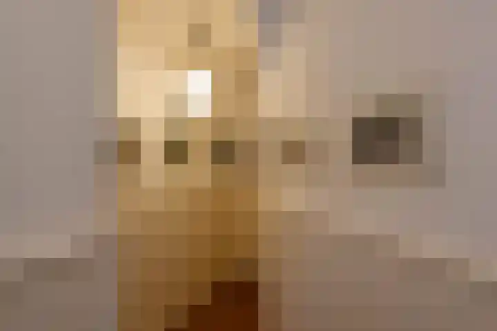 Coendersweg 5 Groningen thumbnail 9