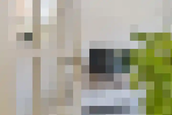 Coendersweg 56 Groningen thumbnail 12