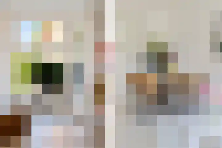 Coendersweg 56 Groningen thumbnail 13