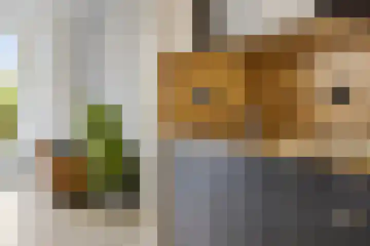 Coendersweg 56 Groningen thumbnail 14