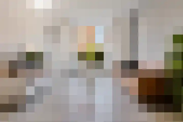 Coendersweg 56 Groningen thumbnail 15