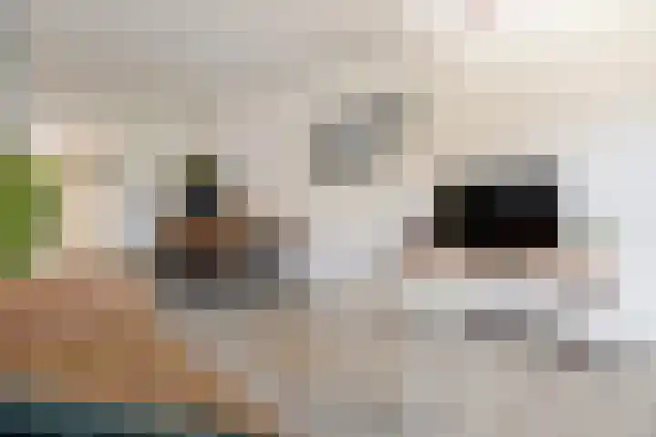 Coendersweg 56 Groningen thumbnail 16