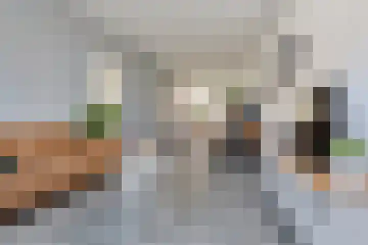 Coendersweg 56 Groningen thumbnail 17