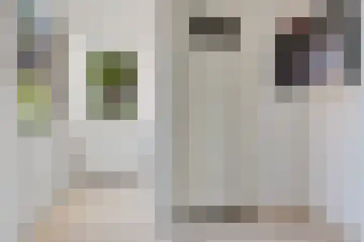 Coendersweg 56 Groningen thumbnail 21