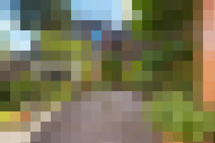 Coendersweg 56 Groningen thumbnail 33