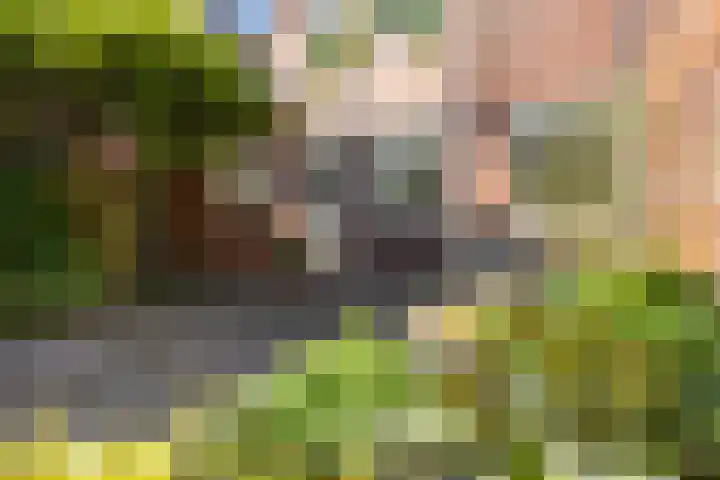 Coendersweg 56 Groningen thumbnail 35