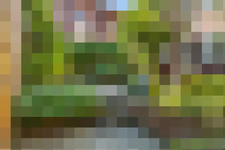 Coendersweg 56 Groningen thumbnail 36