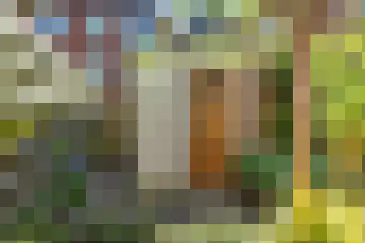 Coendersweg 56 Groningen thumbnail 37