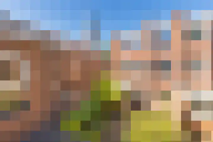 Coendersweg 56 Groningen thumbnail 38