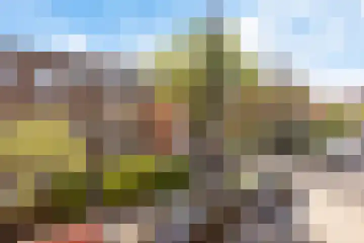 Coendersweg 56 Groningen thumbnail 42