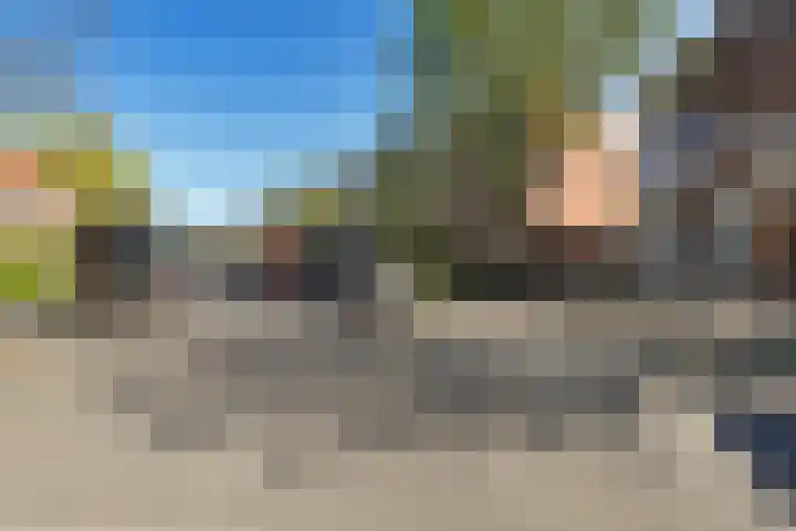 Coendersweg 56 Groningen thumbnail 5